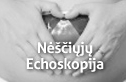 Nėščiųjų Echoskopija